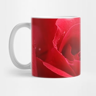 In the Heart of a Red Rose Mug